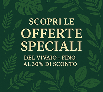 Scopri le offerte 335 x 300-1.png